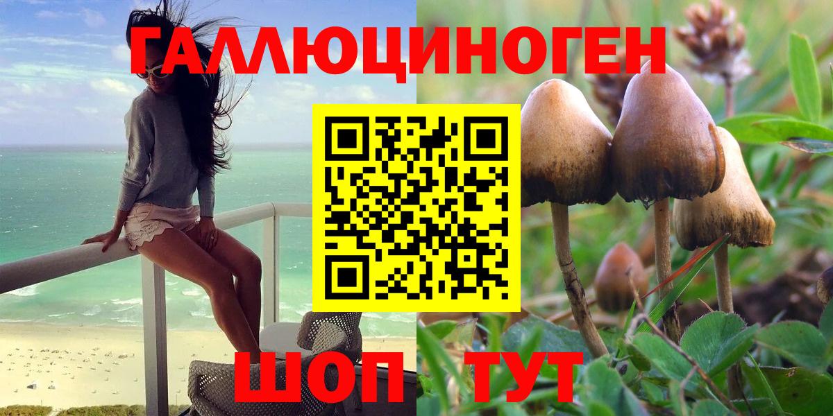 Псилоцибиновые грибы Psilocybine cubensis Мытищи