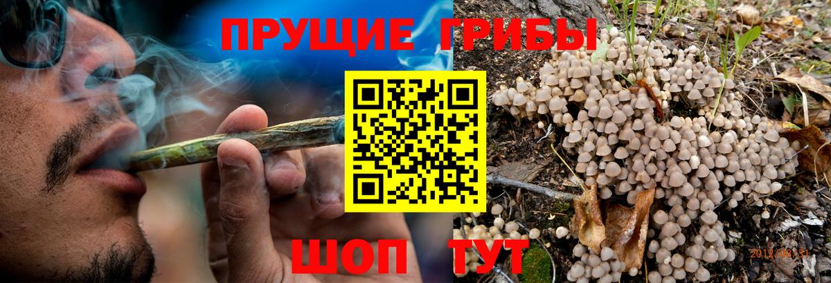 Мытищи  Галлюциногенные грибы Magic Shrooms  Галлюциногенные грибы Psilocybe  Вход с VPN 